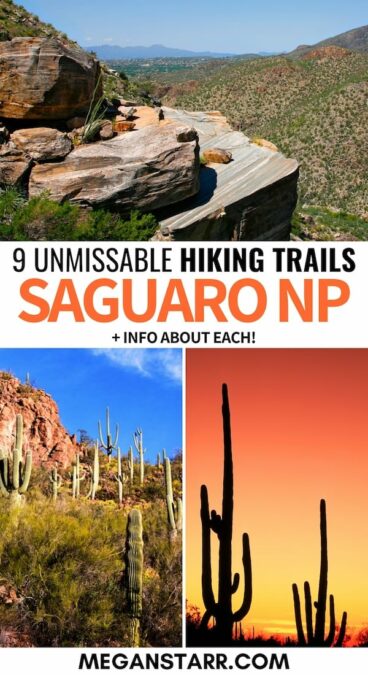 Are you looking for the best hikes in Saguaro National Park? This guide details the best Saguaro National Park trails and the info you need for hiking them. | Saguaro National Park hikes | Saguaro trails | Arizona hiking | Arizona hikes | hiking in Arizona | Tucson hikes | Day hikes in Tucson | Rincon Mountains | Day hikes Saguaro National Park | Saguaro National Park winter