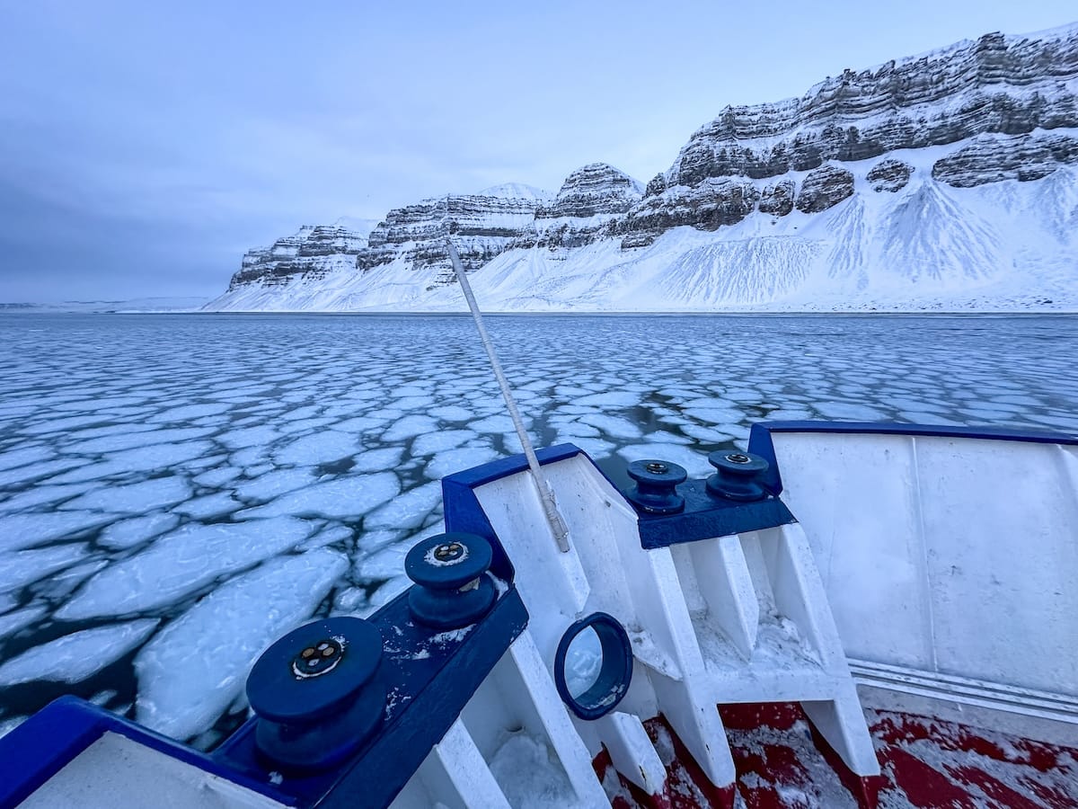 I saw so many seals popping their heads up on this ride.