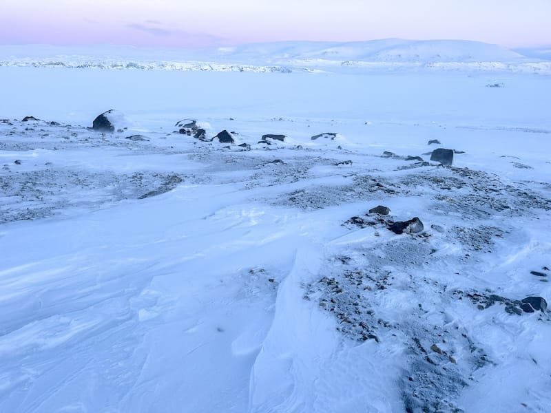 Snowmobile tour to East Spitsbergen (didn't see any, sadly)