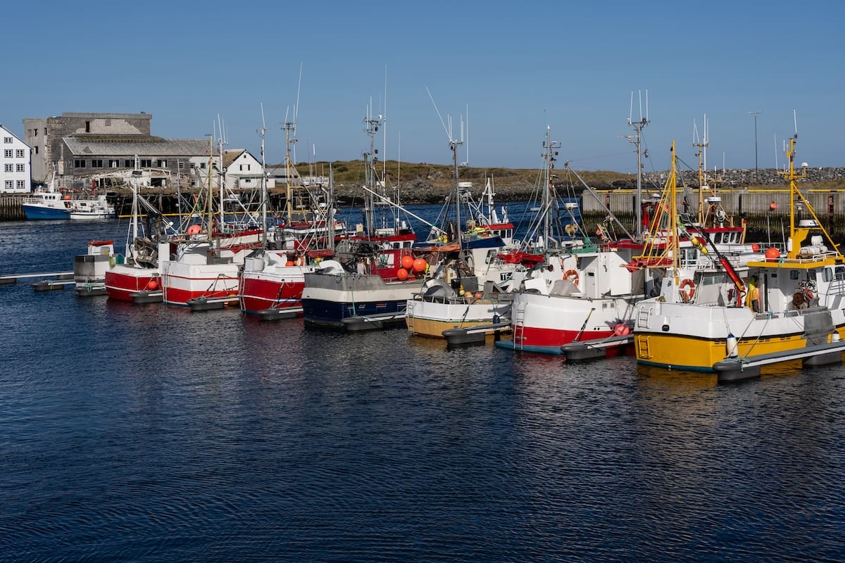 Berlevåg travel guide: what to know and do!