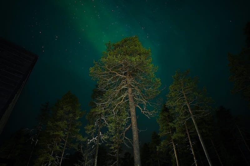 Northern lights were shy that night