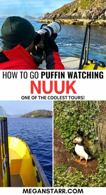 Are you interested in seeing puffins in Nuuk, Greenland? This guide details the best Nuuk puffin tour, what to expect, and some tips for your trip. Learn more! | Nuuk boat tours | Things to do in Nuuk | How to see puffins in Nuuk | Nuuk tours | tours in Nuuk | Nuuk puffins | Nuuk wildlife | Puffins in Greenland