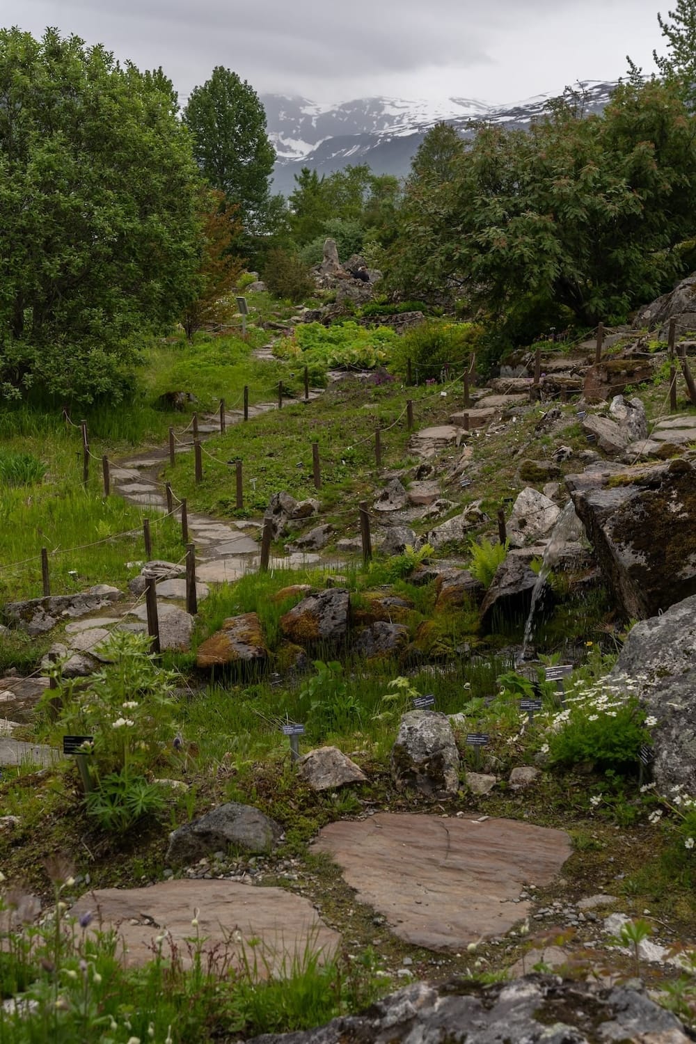 Arctic–Alpine Botanic Garden