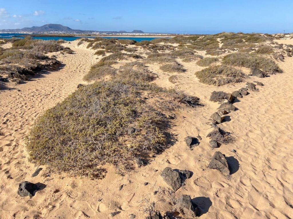 How to visit Lobos Island in Fuerteventura