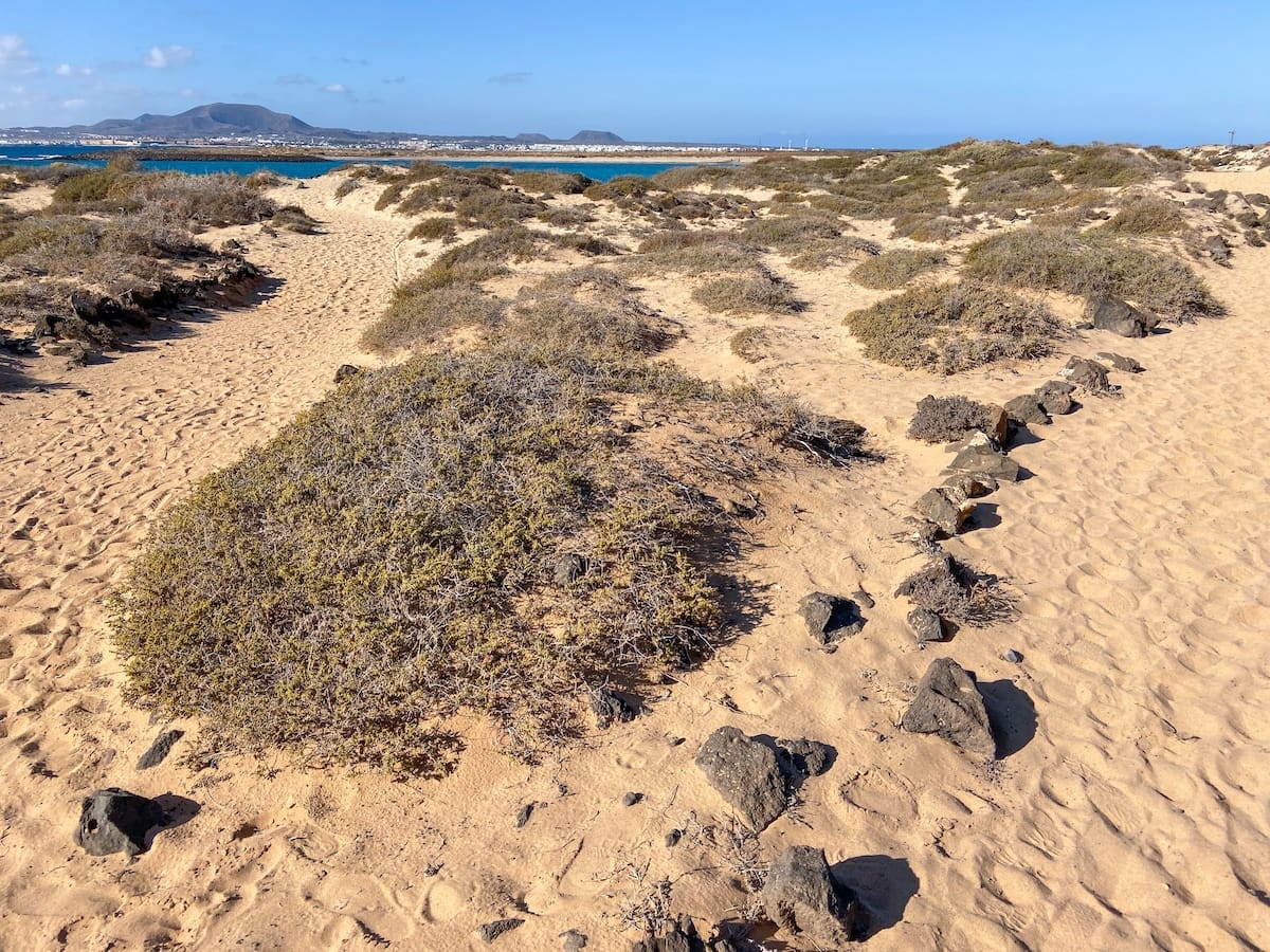 How to visit Lobos Island in Fuerteventura