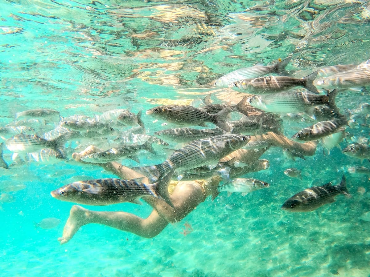 Snorkeling is popular on the island