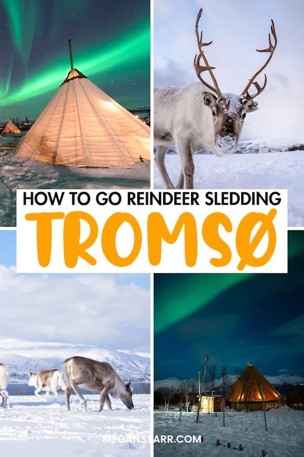 Looking for the top Sami experiences in Tromso, Norway? This guide tells you where to learn about the Sami, feed and go reindeer sledding in Tromso, and more! | Things to do in Tromso | What to do in Tromso | Tromso tours | Tromso activities | Tours in Tromso | Sami in Tromso | Tromso Sami | Feed reindeer in Tromso | Tromso culture | Tromso itinerary