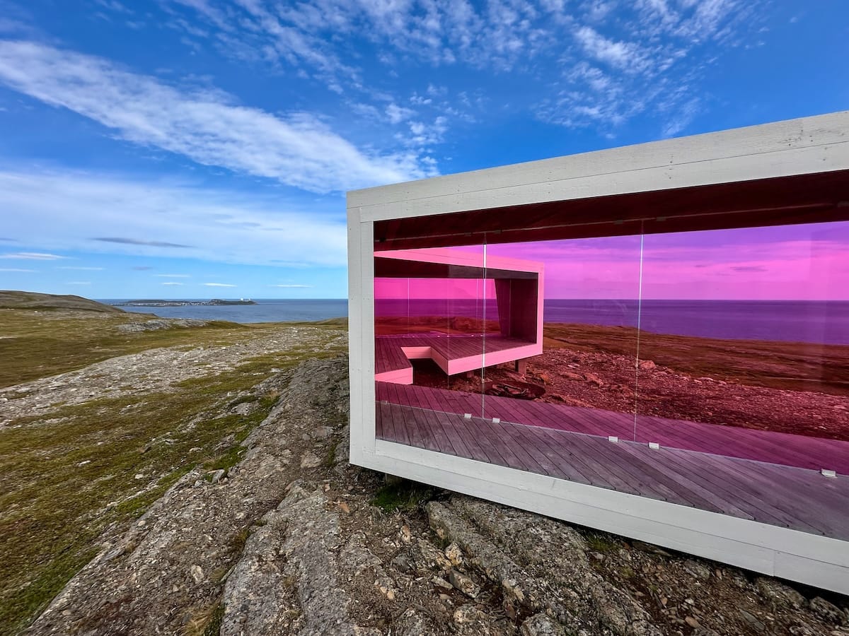 Bird hide in Domen