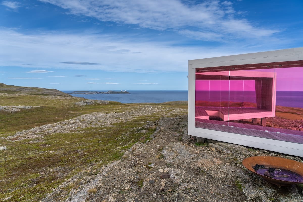 Birdwatching from Domen