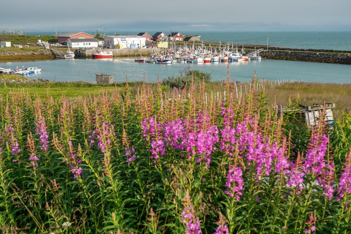 Nesseby harbor