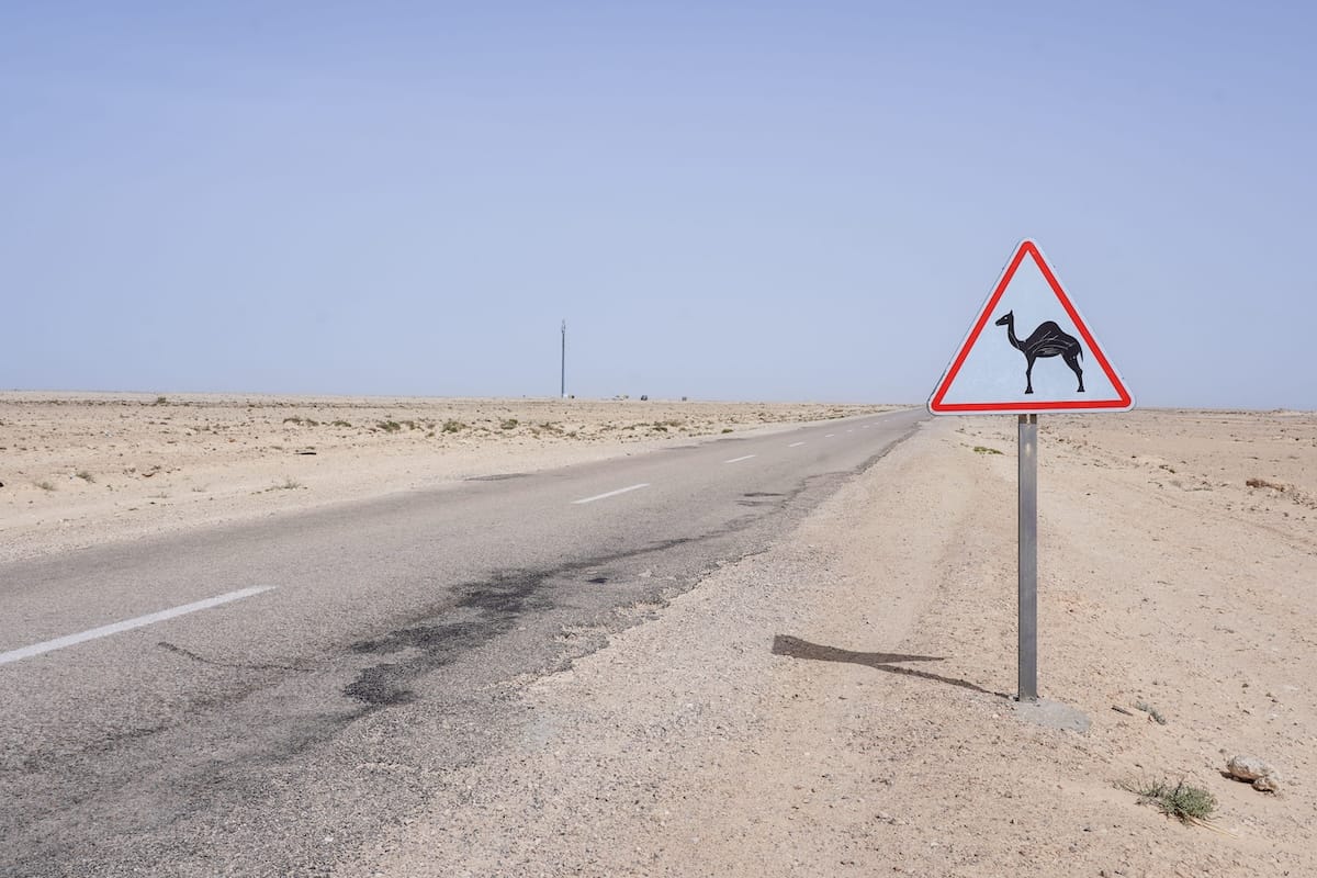 Typical scenes from a Western Sahara road trip.
