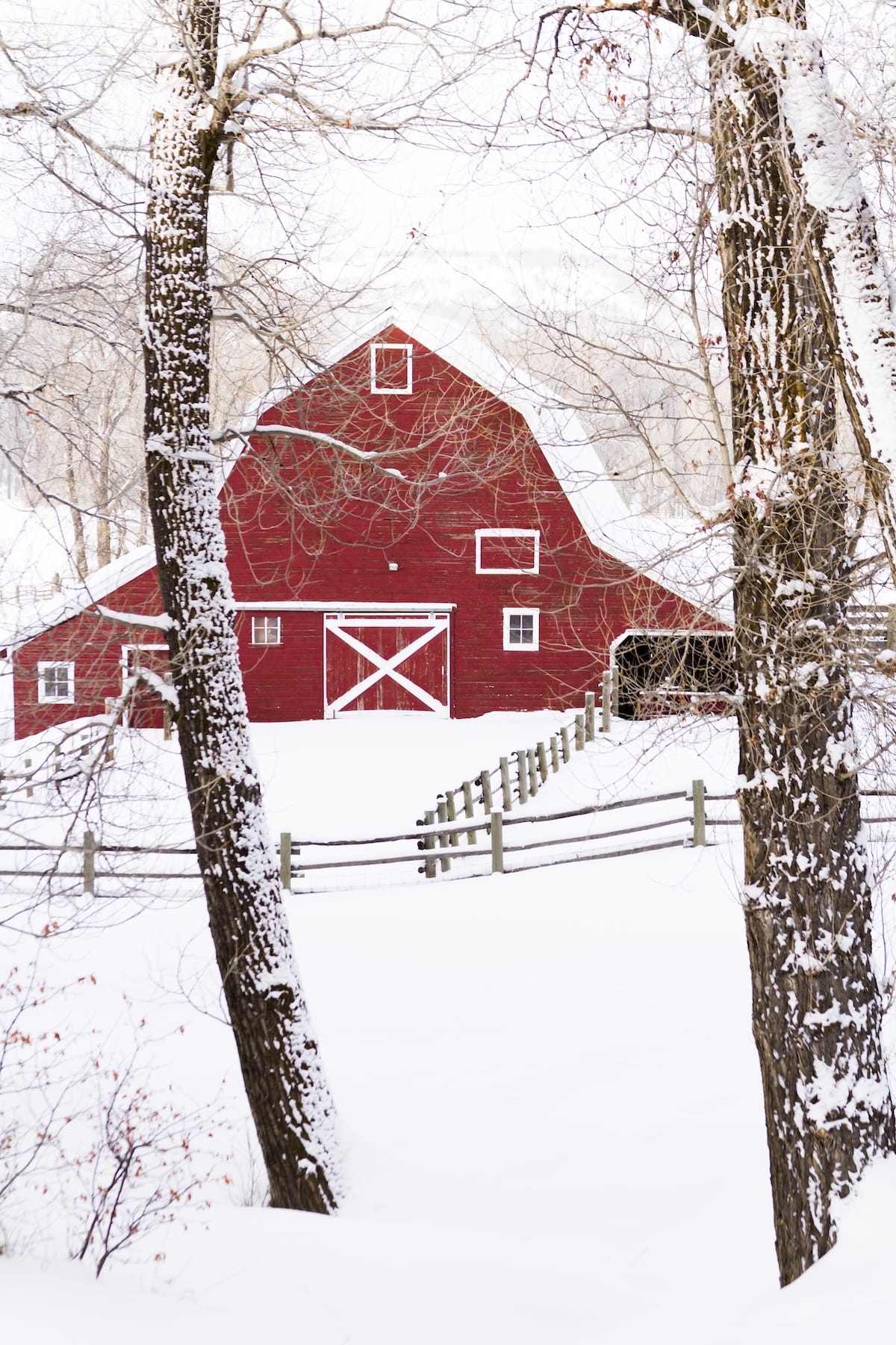 Snowy landscapes of Steamboat Springs, Colorado - a red barn