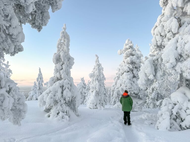 Rovaniemi on a budget travel guide - tips, things to do, and more.