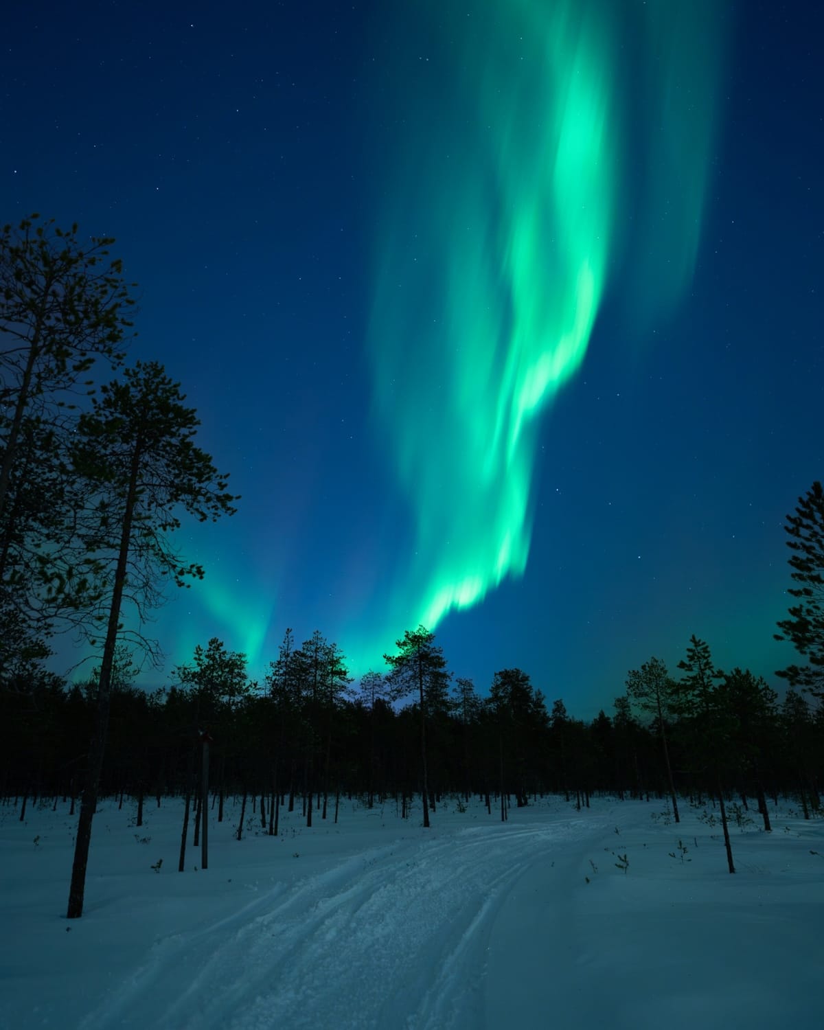 You can often see the aurora during February in Rovaniemi