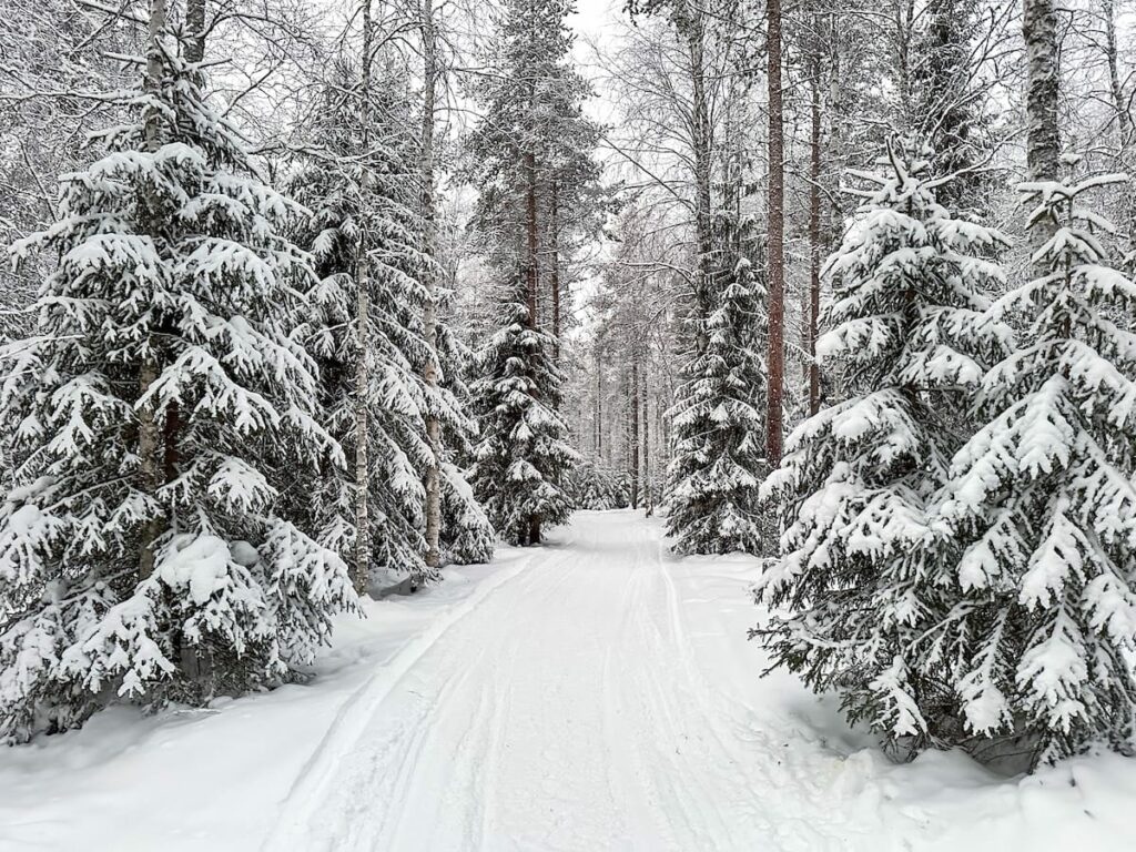 Rovaniemi in February - what to do, travel tips and more!