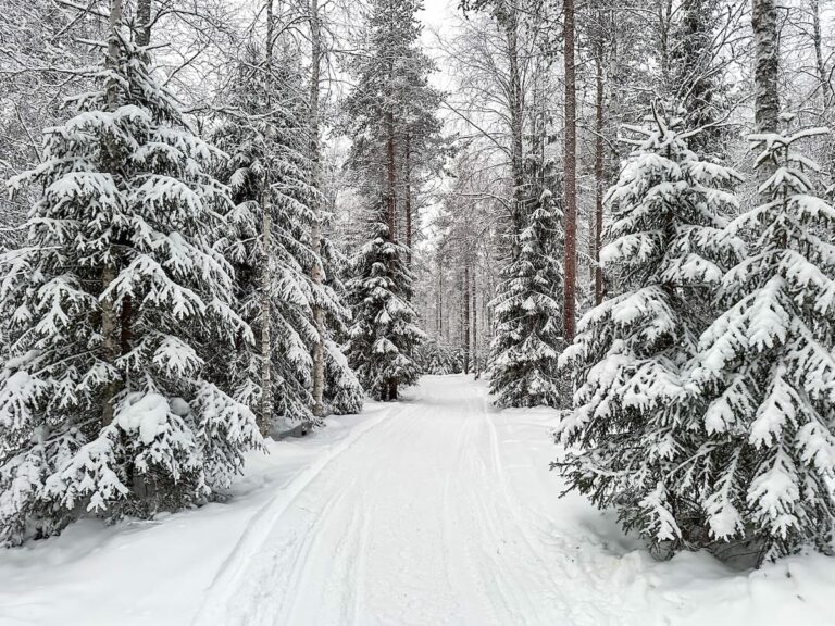 Rovaniemi in February - what to do, travel tips and more!