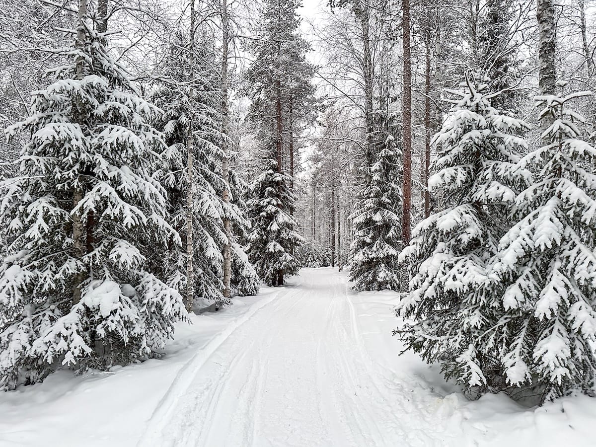 Rovaniemi in February - what to do, travel tips and more!