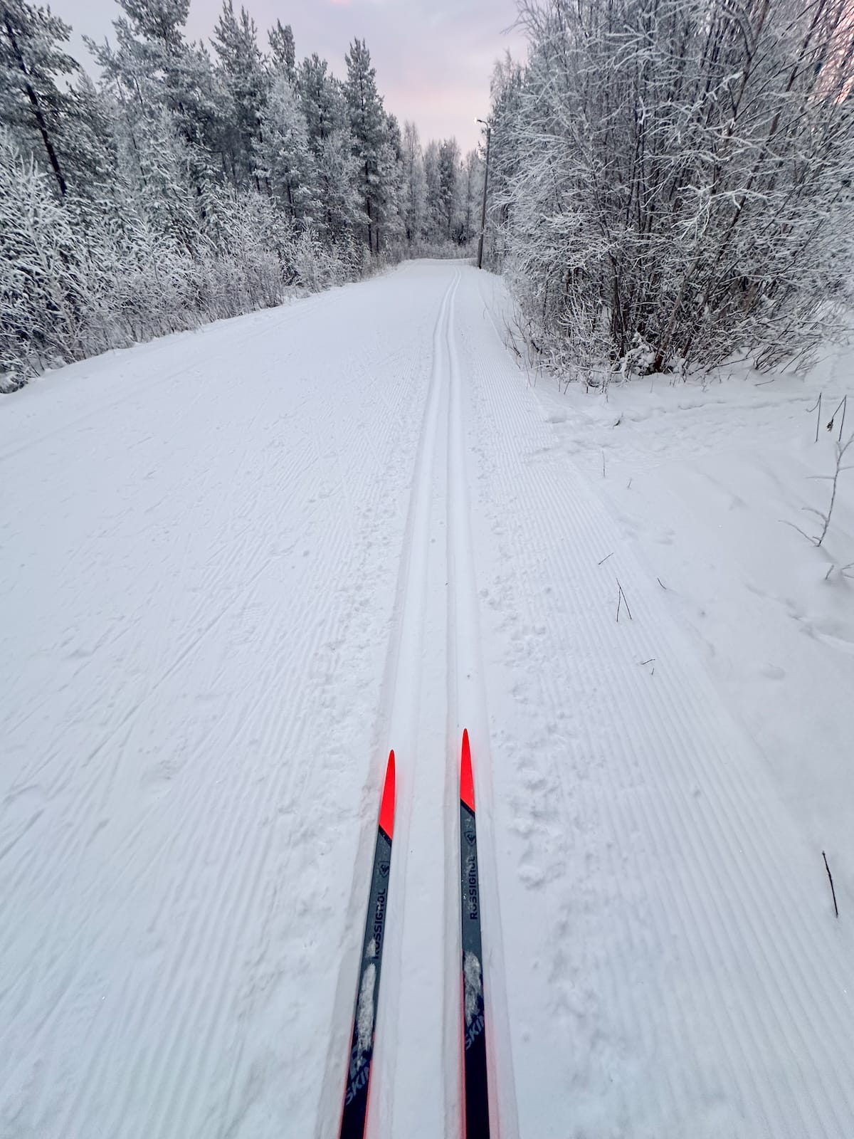 Cross-country skiing is a great thing to do in February