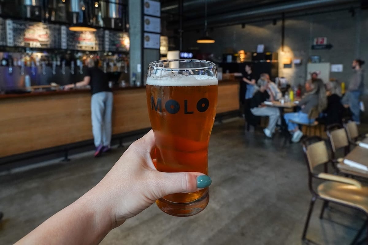 Beer at Molo Brew