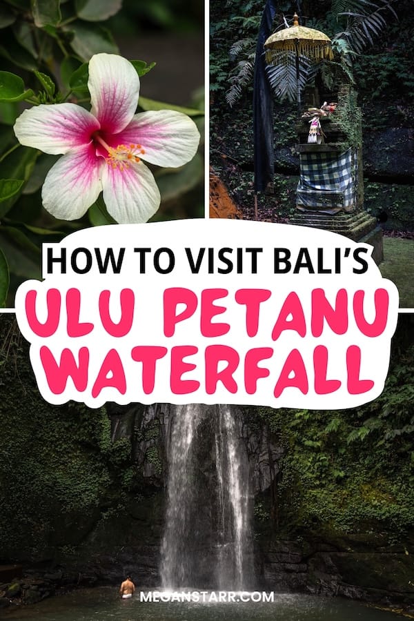 Are you looking to visit the waterfalls near Ubud and want to know more about Ulu Petanu Waterfall? I've got you covered! I share what to know, tips, and more. Things to do in Ubud | Waterfalls in Bali | Bali waterfalls | Gianyar waterfalls | Waterfalls in Gianyar | Ubud waterfalls | Waterfalls near Ubud | What to do in Ubud | Ubud day trips | Day trips in Bali | Places to visit in Bali