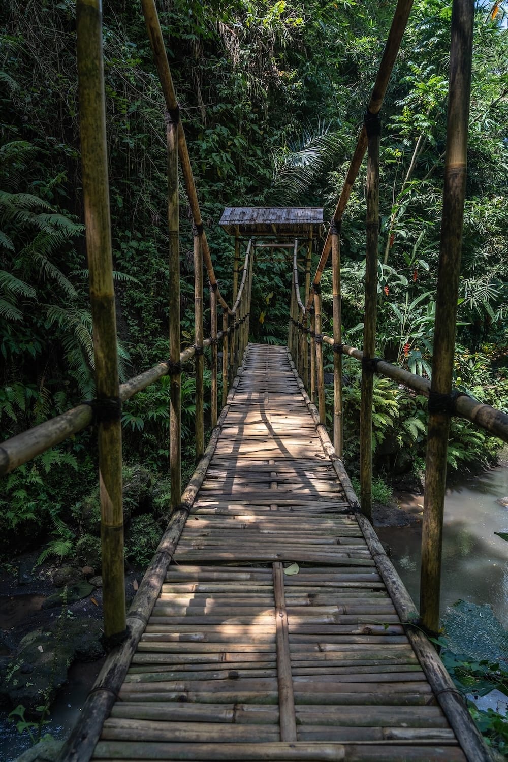 A bamboo bridge in the middle of a jungle in Bali