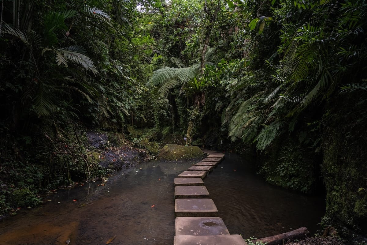 These are stone steps going to the Ulu Petanu waterfall in Bali.