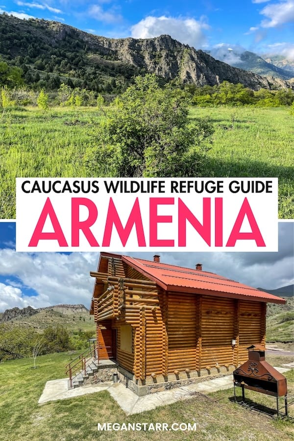 Are you looking to visit the Caucasus Wildlife Refuge in Armenia on your trip? This guide details how to do so - by tour and by staying overnight. Learn more! | day trips from Yerevan | Things to do in Yerevan | Ararat Marz | Places to visit in Armenia | Wildlife in Armenia | Conservation in Armenia | Things to do in Armenia | Armenia off the path | Yerevan day trips | Unique accommodation in Armenia