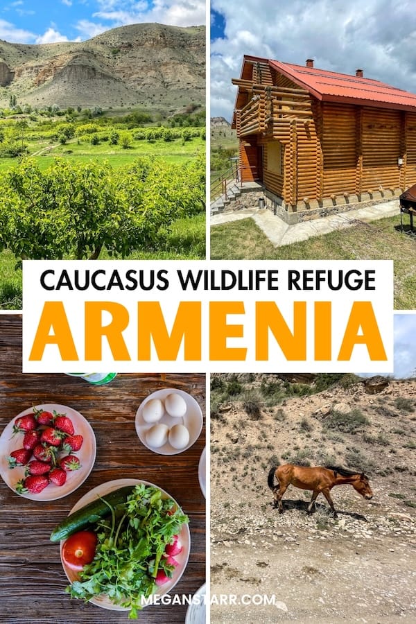 Are you looking to visit the Caucasus Wildlife Refuge in Armenia on your trip? This guide details how to do so - by tour and by staying overnight. Learn more! | day trips from Yerevan | Things to do in Yerevan | Ararat Marz | Places to visit in Armenia | Wildlife in Armenia | Conservation in Armenia | Things to do in Armenia | Armenia off the path | Yerevan day trips | Unique accommodation in Armenia