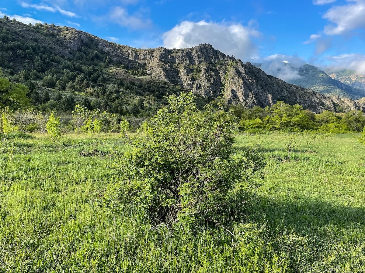 About the Caucasian Wildlife Refuge in Armenia