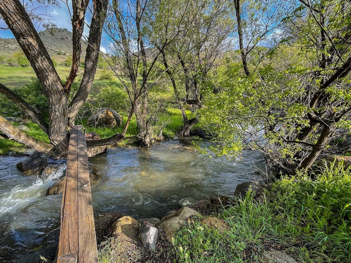 Caucasian Wildlife Refuge in Armenia-16