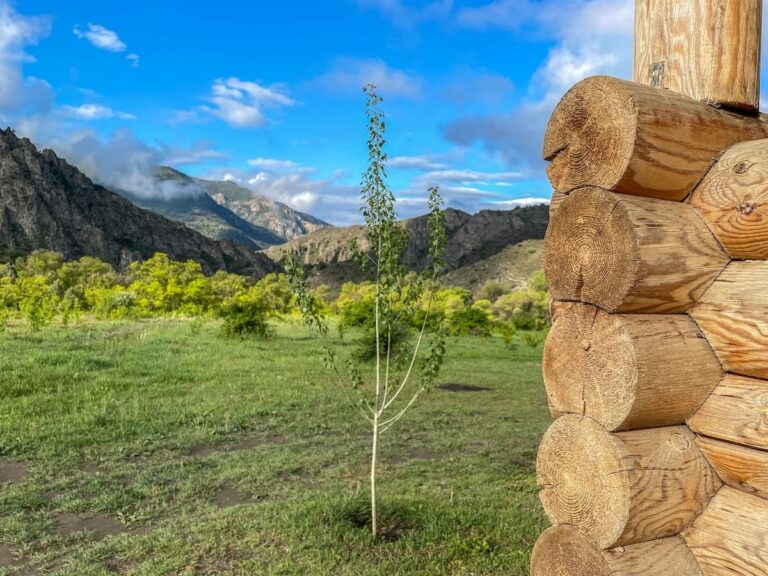 About the Caucasian Wildlife Refuge in Armenia Imagine waking up here!