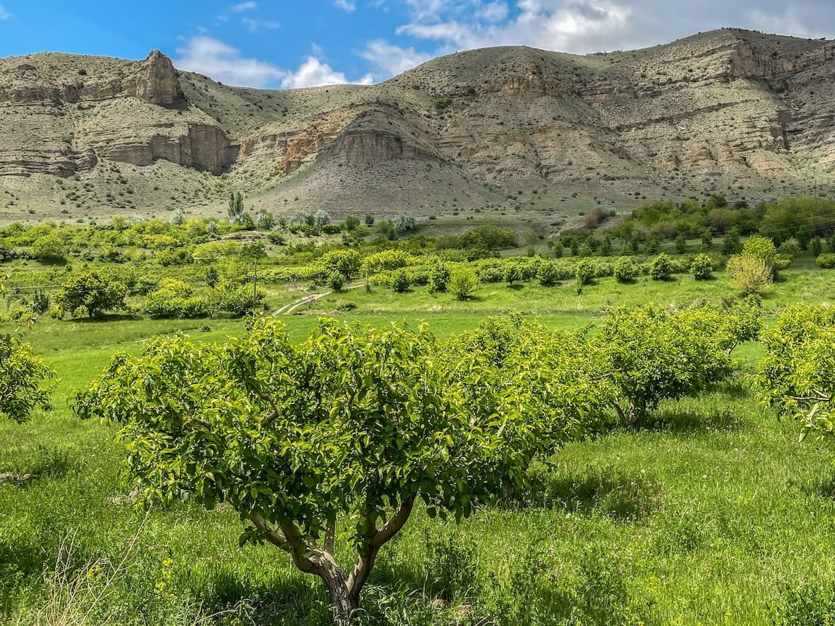 Caucasian Wildlife Refuge in Armenia-24