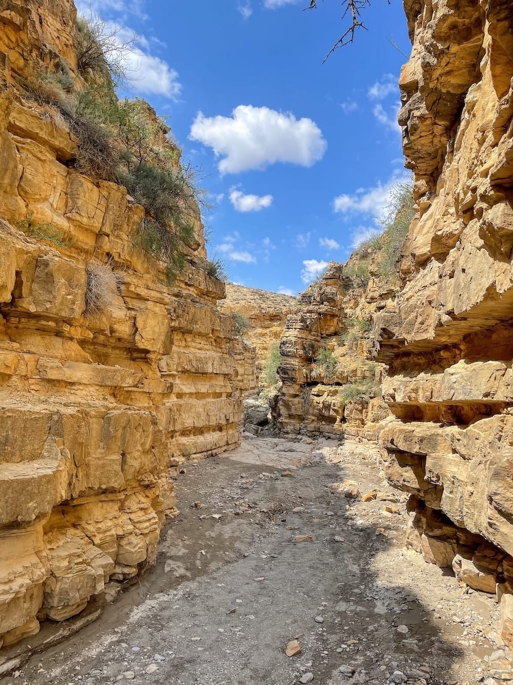 Angel's Canyon