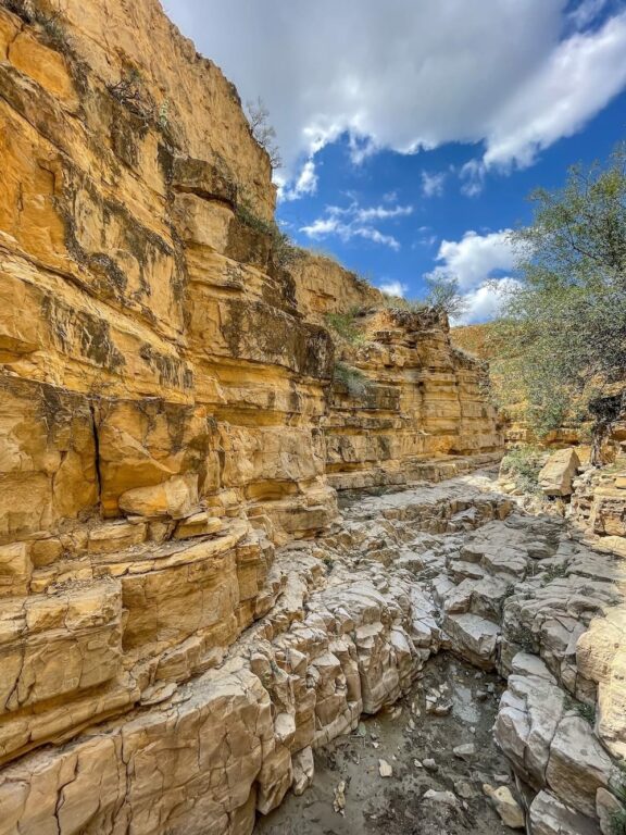 Angel's Canyon