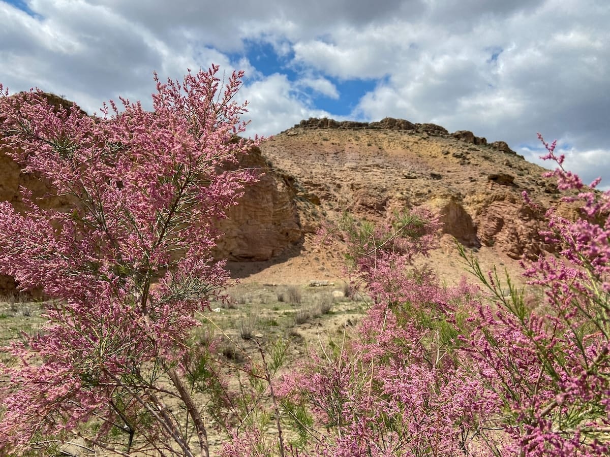 Views from Angel's Canyon
