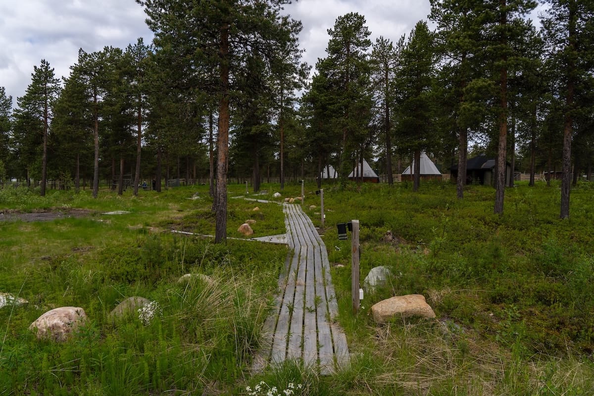 Reindeer Lodge in summer