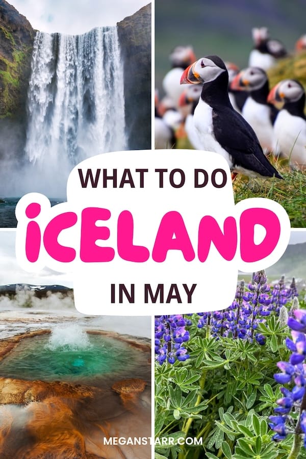 Visiting Iceland in May this year? This guide contains what to do and expect, weather info, and more. Click for more about May in Iceland! | May trip to Iceland | Reykjavik in May | May in Reykjavik | Spring in Iceland | Iceland in spring | Reykjavik in spring | Spring in Reykjavik | Things to do in Reykjavik in May | What to do in Reykjavik in May | Spring trip to Iceland | Visit Iceland | Puffins in Iceland | Whale watching in Iceland