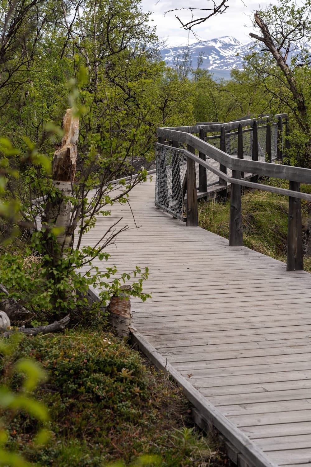 A different part of the canyon trail