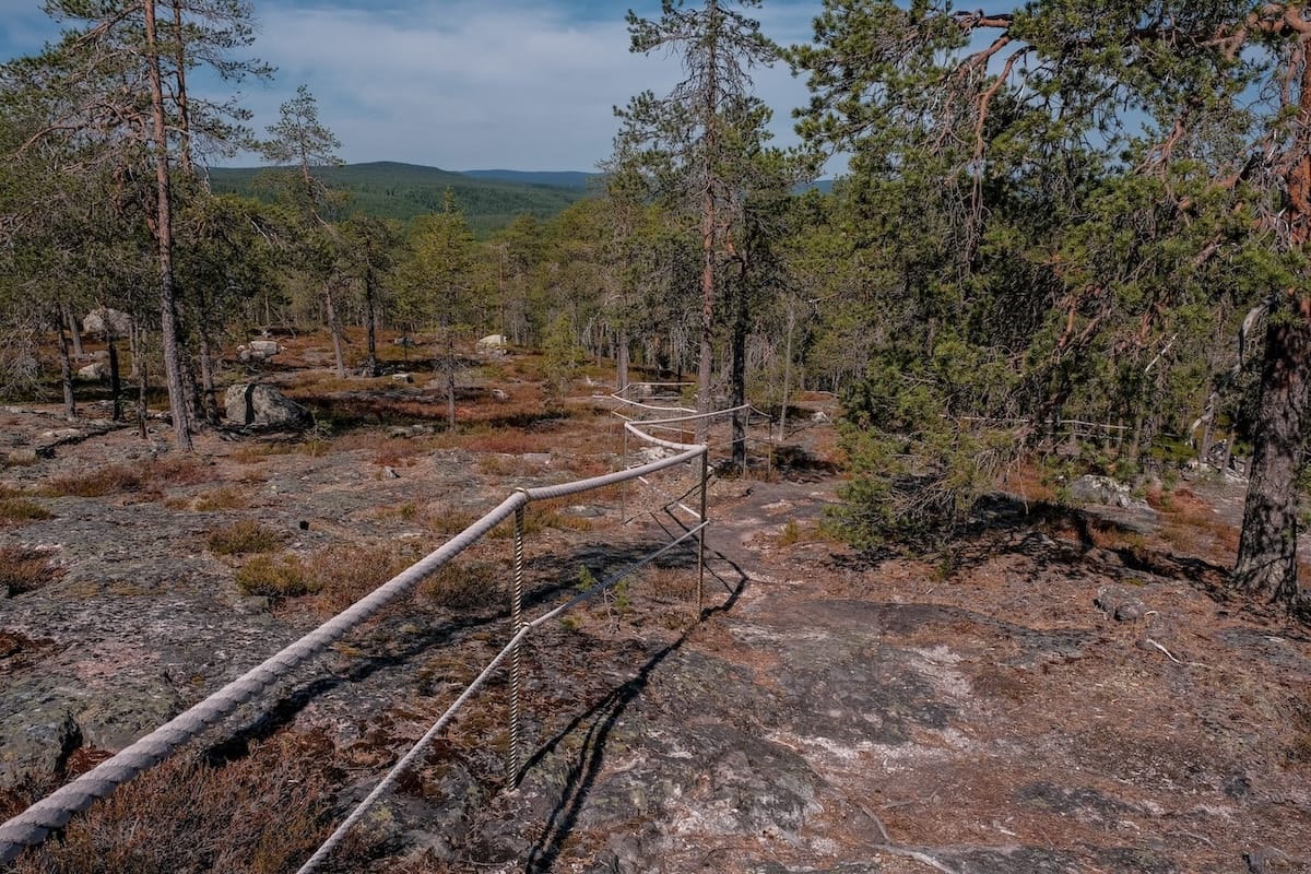 Highest elevation you'll reach on the Auttiköngäs Nature Trail