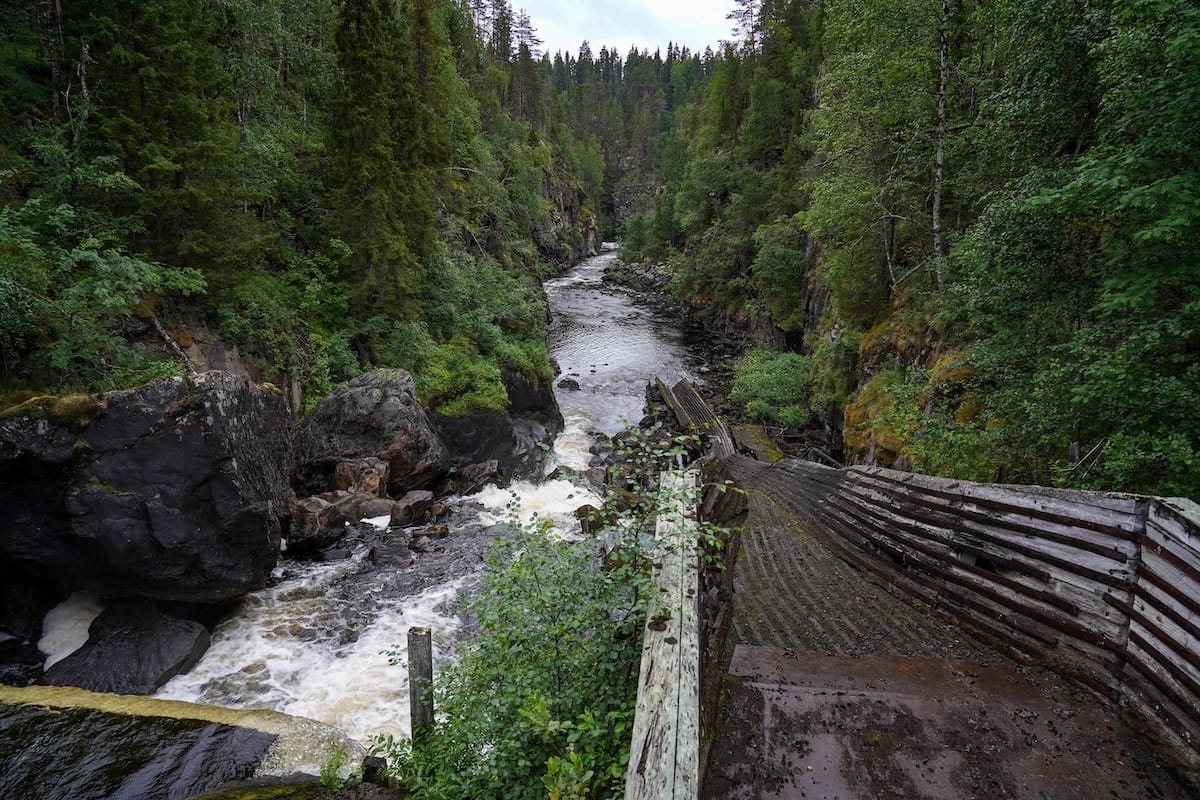 My first time on the Auttiköngäs Nature Trail (July 2023)