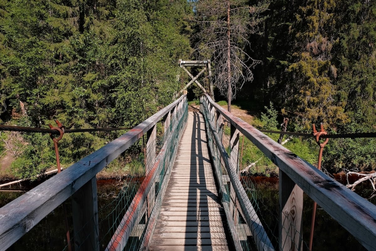 This part of the hike (mid-way) was the most mosquito-y