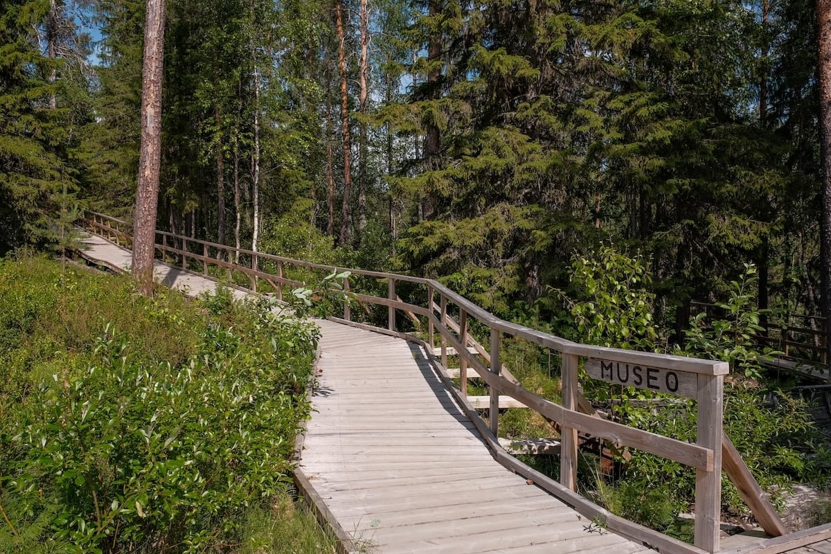 Auttiköngäs Nature Trail Guide-34