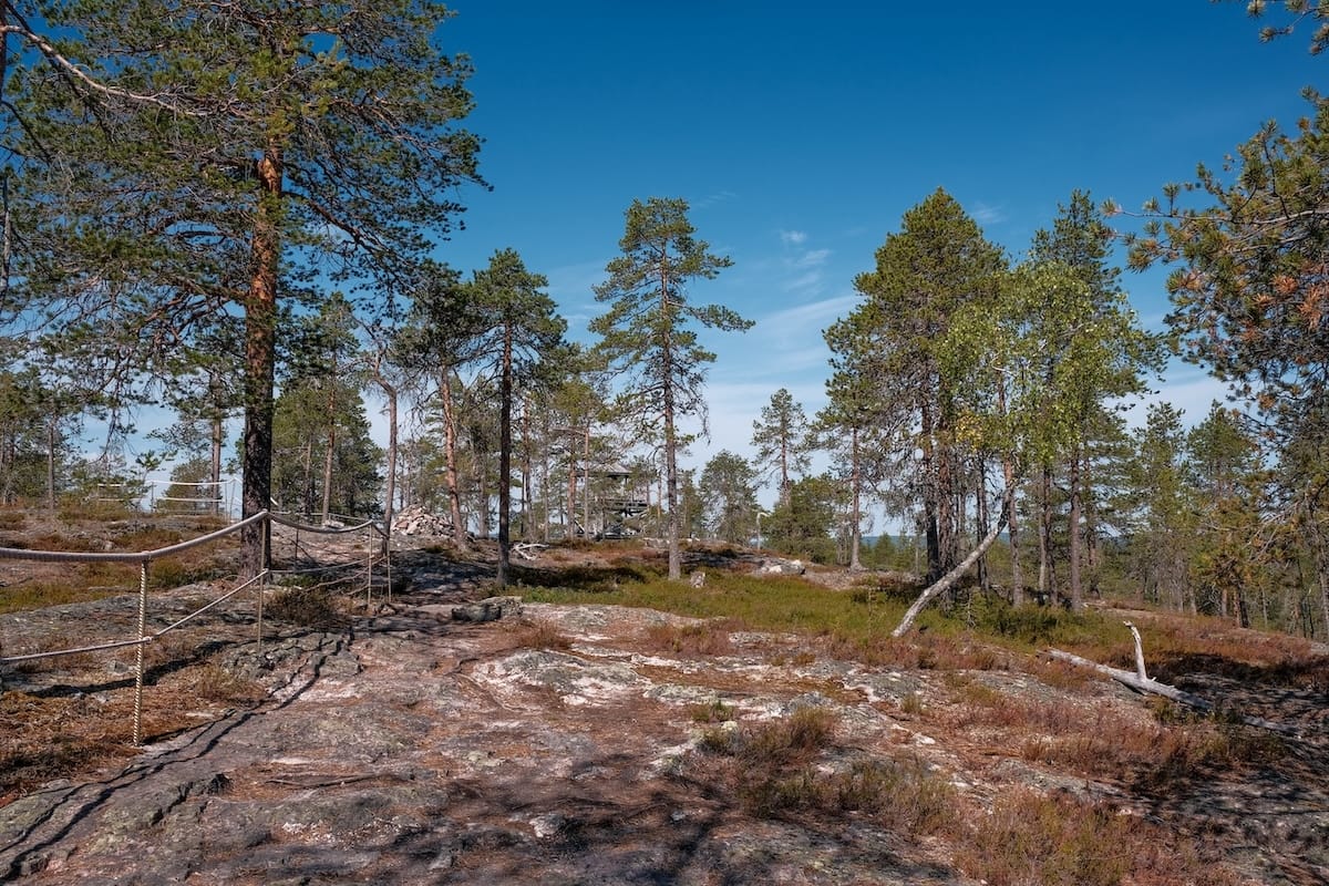 Highest elevation you'll reach on the Auttiköngäs Nature Trail
