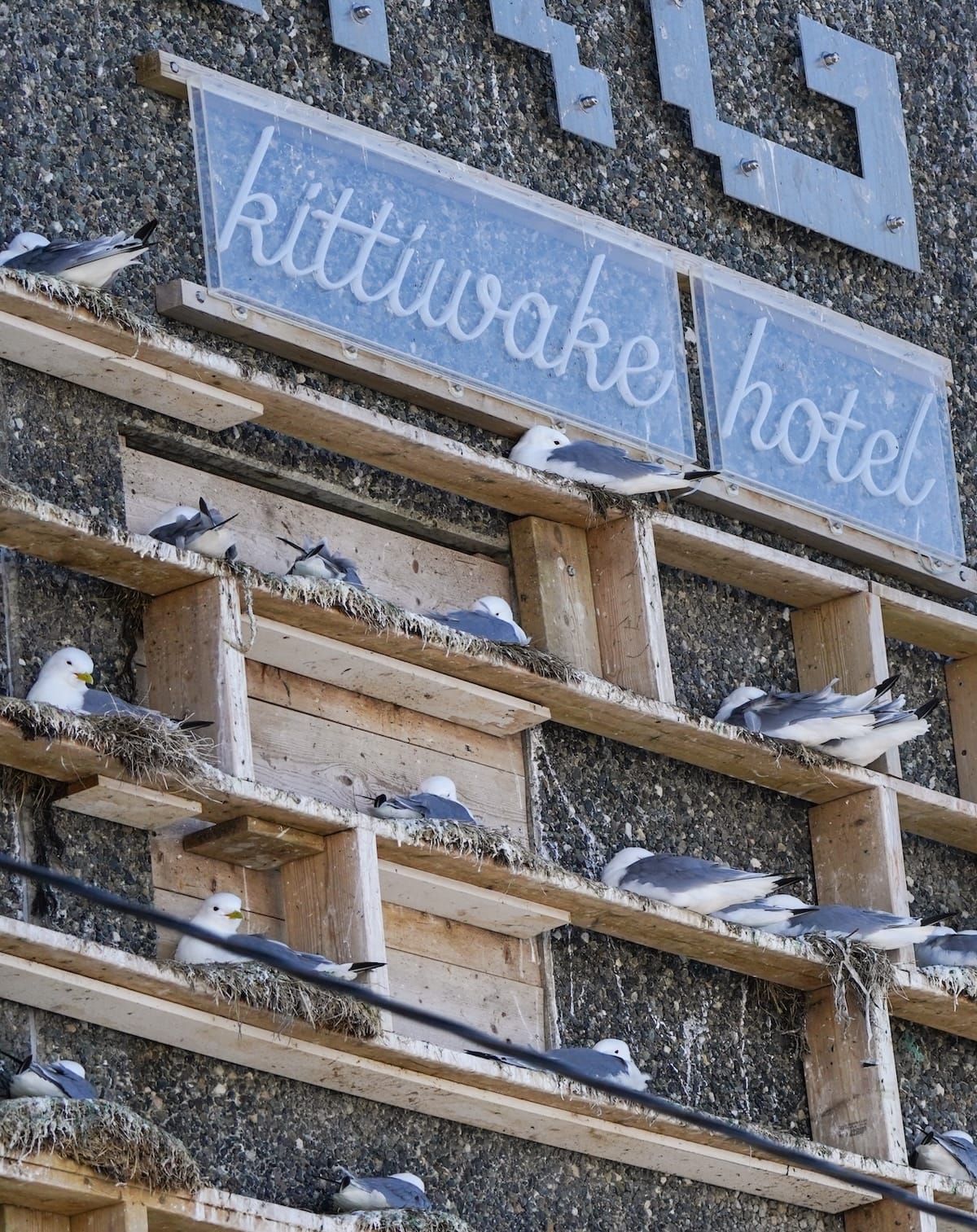 Kiberg kittiwake hotel in Varanger