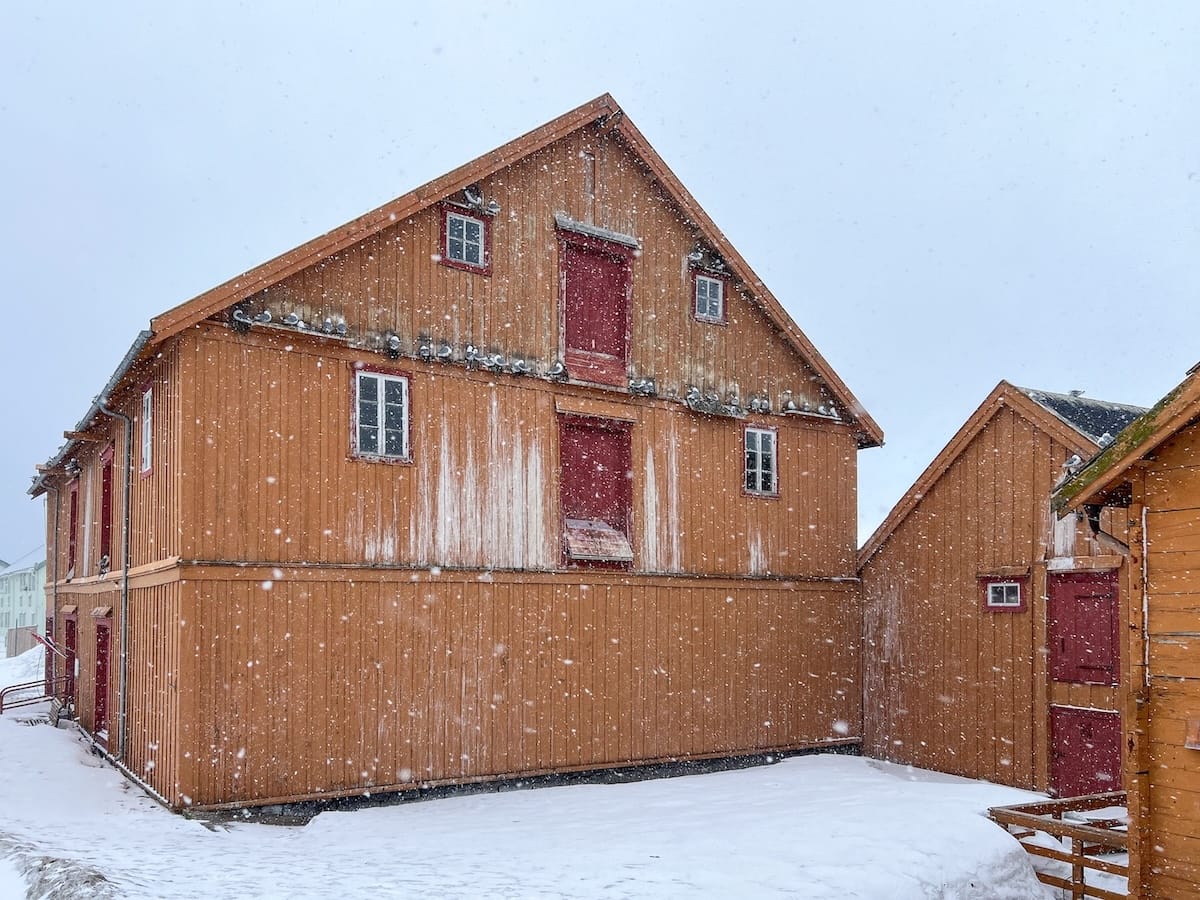 Vardø's feathery residents arriving in late March