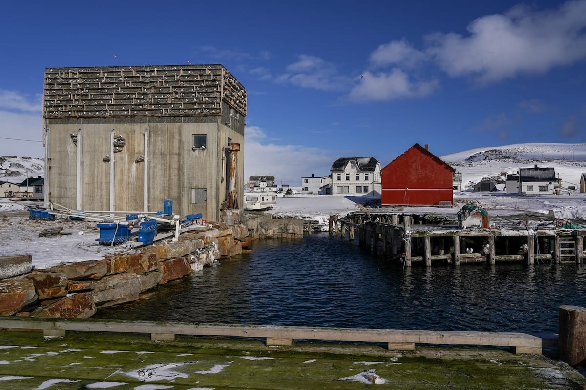 Any space for me at the Kiberg kittiwake hotel?