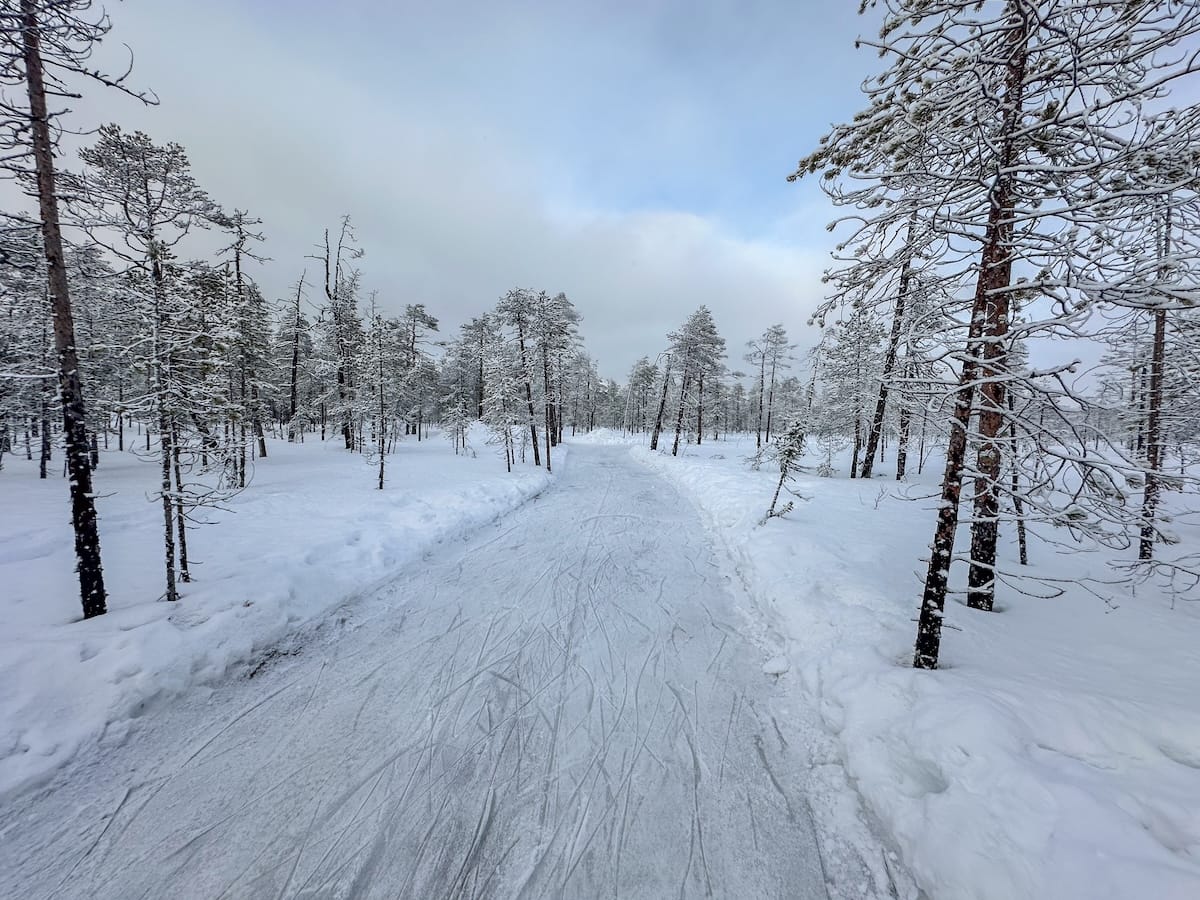 Ice skating track through forest at Kotatieva