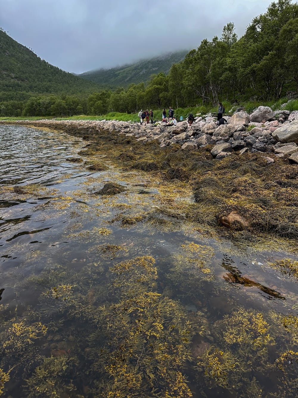 Selfjord tour in Senja