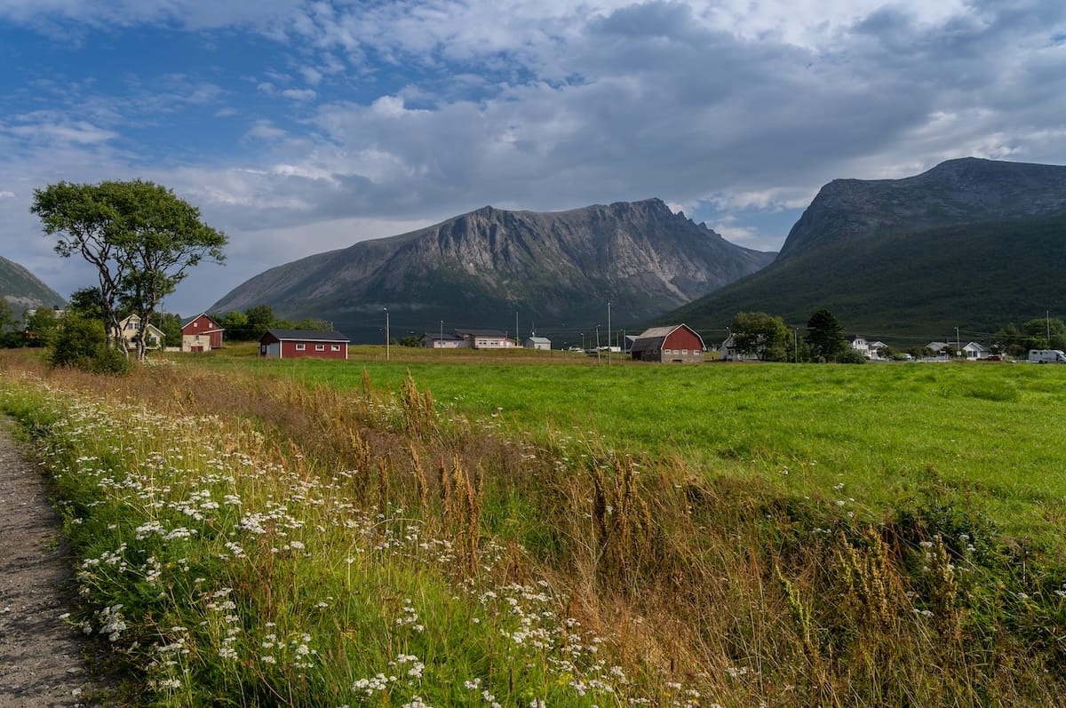 Selfjord and Flakstadvåg on Senja-5