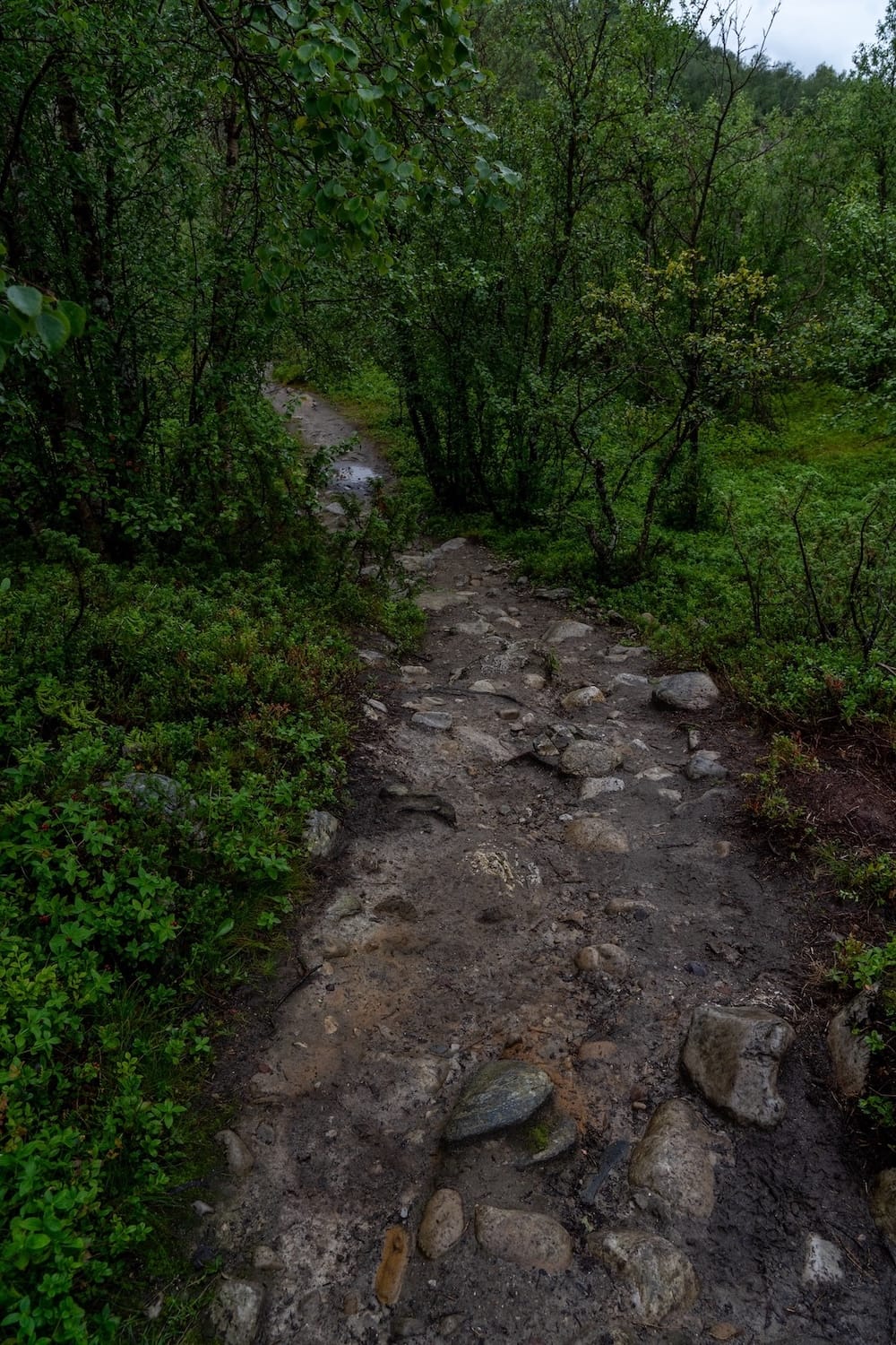 Silfar Canyon in Børselv, Norway-11
